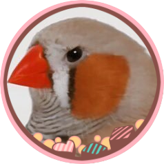 ころも𓅯多忙 愛玩動物協会シンポジウム要旨集の鳥についての記録 愛鳥から突然変異した鳥か何かだと思われてるの嬉しい T Co Sqsnl10neh ころも𓅯多忙 愛玩動物協会シンポジウム要旨集の鳥についての記録 愛鳥から突然変異した鳥か何かだと思われてるの嬉しい T Co Sqsnl10neh