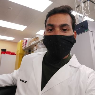 PhD candidate ( 08/2020----). endolysosome iron and reactive species in neurodegenerative diseases.
tweets are purely mine.