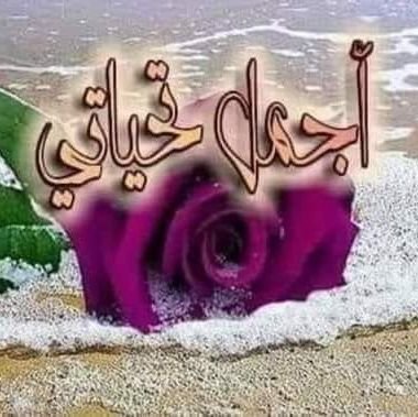 ndDshTDNHE4Dc2M's profile picture. مساؤ