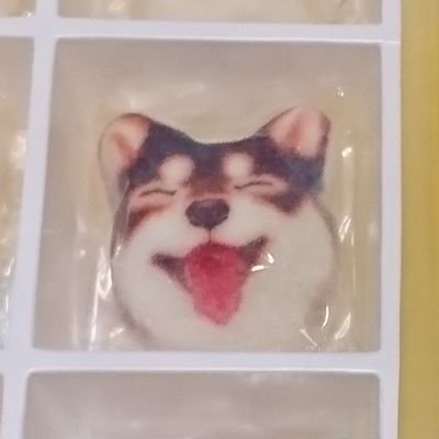 いずー