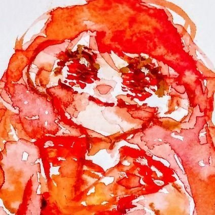 餡さんのプロフィール画像