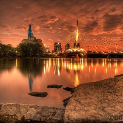 marcopolo_1979's profile picture. 