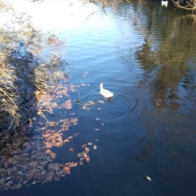 hillds_'s profile picture. 