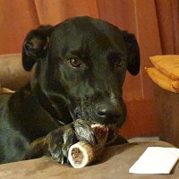 pily (@pily) 's Twitter Profile