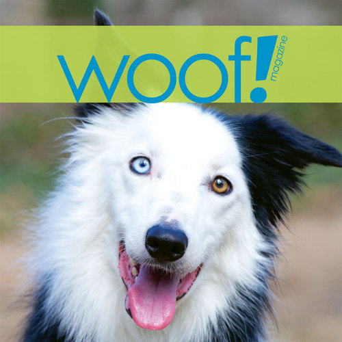 woof_pup's profile picture. editorial assistant for woof! magazine, dog-lover and cat-tolerator