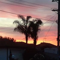 navu (@desigirlyahoo09) 's Twitter Profile