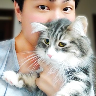 Hikaru 猫とweb関連 ノルウェージャンフォレストキャット 身体はとても大きく いわゆる大型猫に分類されます 頭からしっぽまで合わせて1mを超す子もいます 体重もかなり立派で オス 4 10kg メス 3 6kg 一般的な猫ちゃん達が肥満とされる体重
