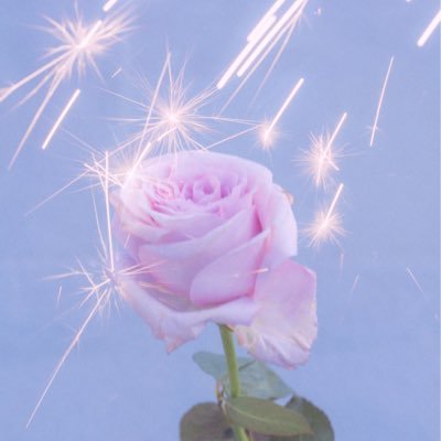 seiji_mega's profile picture. Photographer 写真を撮るひと / 岩手県紫波町出身 / 仕事や作品など/ Instagram▷ https://t.co/QuC0pvBwmP 【info】オンラインストア開設(写真集、ポストカード)