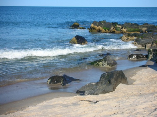 ShoreConnection's profile picture. Broker Sales Associate, Coldwell Banker Previews Specialist.
Love to cook, read, knit, bike and travel and beach of course!