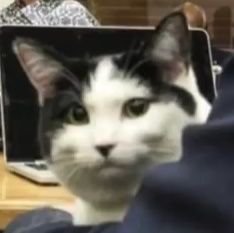 Truffle26339681's profile picture. 