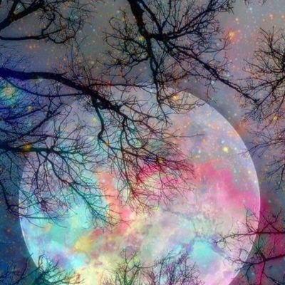 Siniora24017920's profile picture. ‏‏‏خريجة بكالوريوس تربية خاصة مسار صعوبات تعلم.... حاصلة على شهادة خبرة لتدريب أطفال التوحد