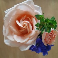 Himerin (@himerin87911471) 's Twitter Profile Photo