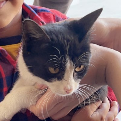 anonymouswriti9's profile picture. Anonymously writing. Feelings and relatable things meh