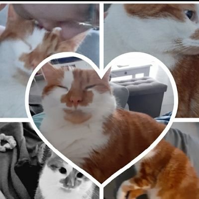 PeggyVandezand2's profile picture. 