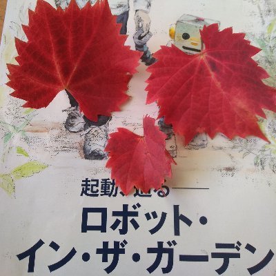 劇団四季大好き＆工作好きの高校生
たまに作品載せます
母と管理