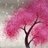 huggatree's profile image