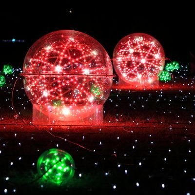 himeji503's profile picture. 姫路在住の写真好きです。Twitterはほぼ閲覧用アカウントです🤣🤣
Instagramでは、同じ名前のアカウントで色々風景や花メインに写真をpostしています✨