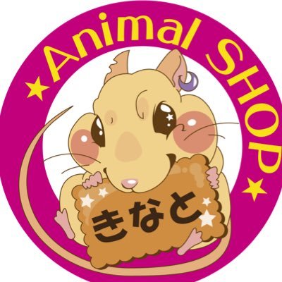 【公式】AnimalSHOPきなと・きなとのケージ屋さん オーダーメイドのアルミフレームケージ製作販売🐭🐍小動物おやつ通販✨ Since2015/3〜 動物取扱業登録番号 3動第1006-1号 https://t.co/lfJ6dsIHXB