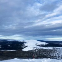 Penkkiurheilija💪🏻 (@vilmainkeri) 's Twitter Profile