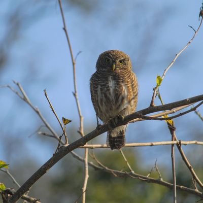 Every photo tells a story and every story have its own goal and every goal encourages you to put more effort for your success.#wildlifephotographylover