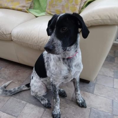 MarchosiasV's profile picture. Goth, artist, and a big nerd.🤟🏻
Let's turn a negative into a positive.😊
https://t.co/3BKBUMIYa3
https://t.co/0vPSaI3lMT