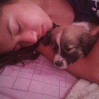 hector piñero (@lucianeyen) 's Twitter Profile