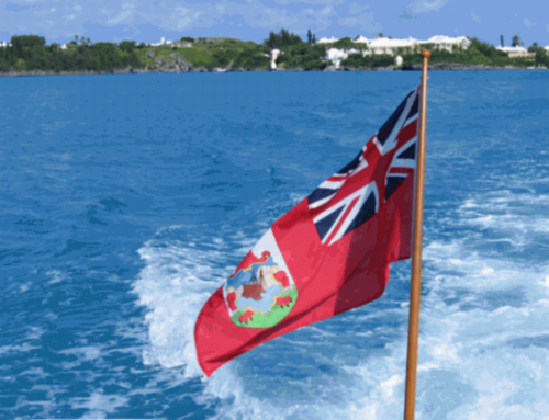 BermudaTweet's profile picture. 