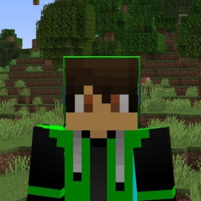 GWTravis_'s profile picture. he/him | i sometimes play minecraft |  private account: @trav1s___