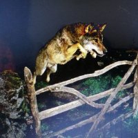 hx5643for (@hx5643for) 's Twitter Profile