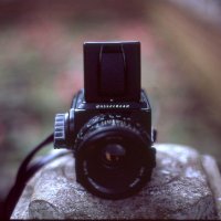 F. film photography (@fabiofilm) 's Twitter Profile