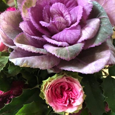 daggeline's profile picture. Hamburg Germany