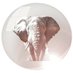 The Glass BlindSpot (@eyeisbloke) Twitter profile photo The Glass BlindSpot (@eyeisbloke) Twitter profile photo