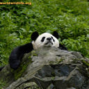 Ben Sharples - @AfroNinja81 - Twitter