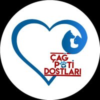 Çağ Pati Dostları(@CagPatiDostlari) 's Twitter Profile Photo