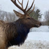 Mathieu Babin (@mathbab) 's Twitter Profile