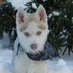 Artur Malinowski (@arturmalinows10) Twitter profile photo Artur Malinowski (@arturmalinows10) Twitter profile photo