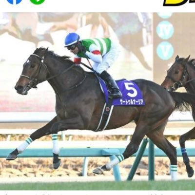 競馬歴は5年です✨ 毎週、重賞の全頭診断をしています🥰 「ちーと競馬」って検索してみてね😍さくやはみなさまの味方ですよ〜🌸できるだけ役に立つことをお伝えしていきたいと思います☺️競馬好きはフォローしてね🙇🏼‍♀️