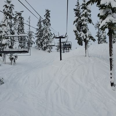 cfochad's profile picture. 