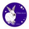 Charcoalrabbit's profile picture. ちゃここ♂(ミニウサギ)2020.4.8生2020.5.12迎、ぶー♀(ネザーランドドワーフ)2022.4.21生.2022.6.17迎。大好きな2ぴょんの事を呟きます🐰人見知りです💦なかなか絡みに行けませんが、構って貰えると喜びます😊固定ツイート見て頂けると嬉しいです✨よろしくお願いします🙇‍♀️