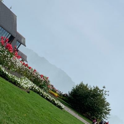 Farouk50961894's profile picture. Appreciate where you are  in your journey, even if it’s not where you want to be. Every season serves a purpose.