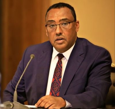 Deputy Prime Minister and Minister Of Foreign Affairs of the Federal Democratic Republic of Ethiopia