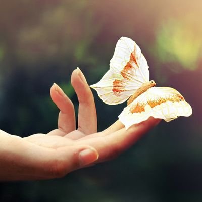 Lights_IK's profile picture. 사진. 영상. 혼잣말(in 🎍숲) 휴덕은 있어도 탈덕은 없다. 덕질~ing
⚠️🚨순덕계 아님🚨⚠️