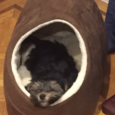 Von335174706's profile picture. https://t.co/IM69IHGLAb #DonCantRead