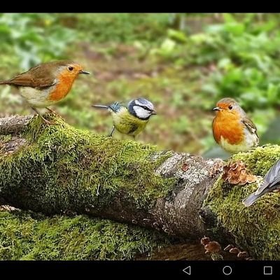 RraSvet's profile picture. #followme#followback#взаимo