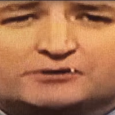 Ted Cruz is a racist, fascist, piece of human garbage who has no place in government. Just here to reiterate that fact.