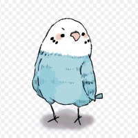 γ¦γγ¬π¦ΰΎΰ½² (@sr_minii) 's Twitter Profile