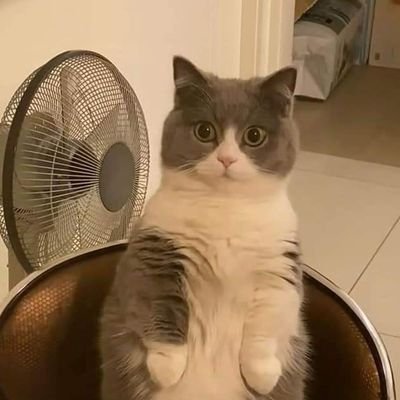 xDMotaxD_YT's profile picture. Solo soy un chico tranquilo que le gusta editar vídeos y programar.