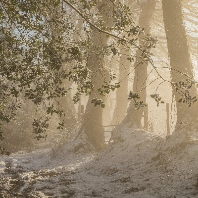 Amature photographer focused on nature & landscape pics of Wales and beyond.