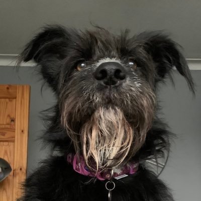 ABWood_26's profile picture. 