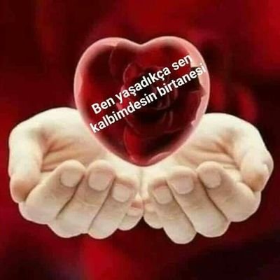 yüksek tansiyona karşı enginar 1 derece hipertansiyon teşhisi kondu